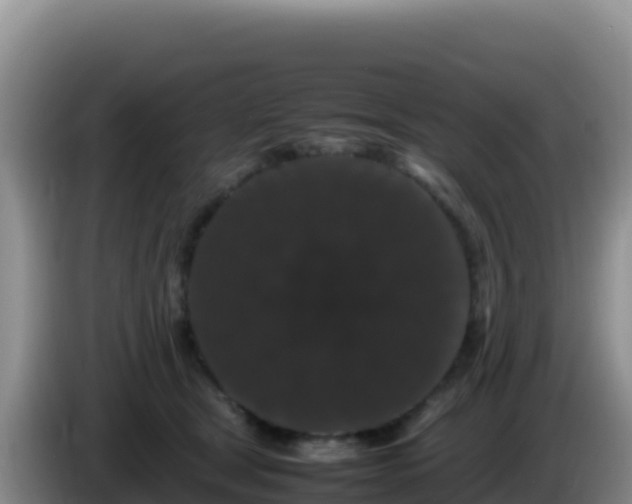 X0000086260465200704051306