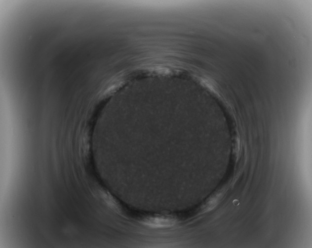 X0000086260466200704051306