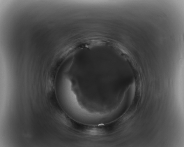 X0000086260467200704051306
