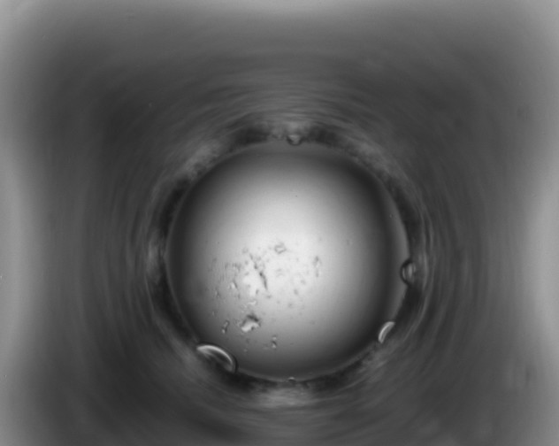X0000086260468200704051306