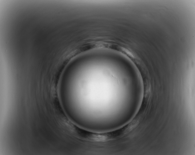 X0000086260469200704051306