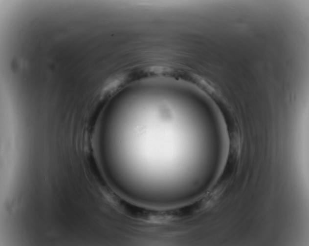 X0000086260470200704051306