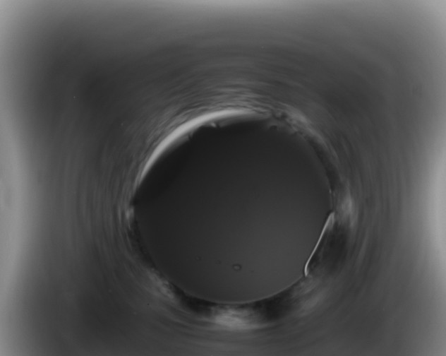 X0000086260471200704051306