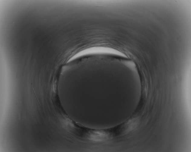 X0000086260475200704051306