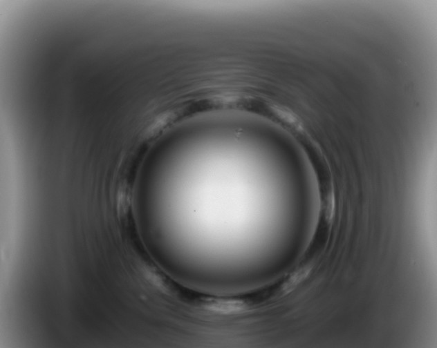 X0000086260476200704051306