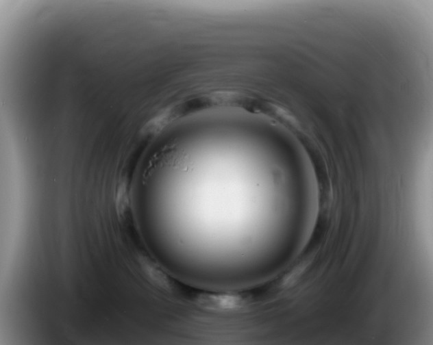 X0000086260478200704051306