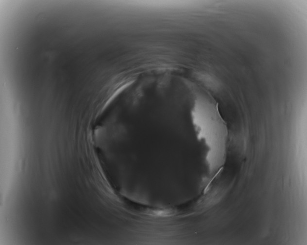 X0000086260479200704051306