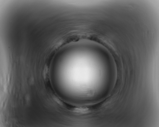 X0000086260480200704051306