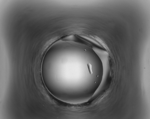 X0000086260481200704051306