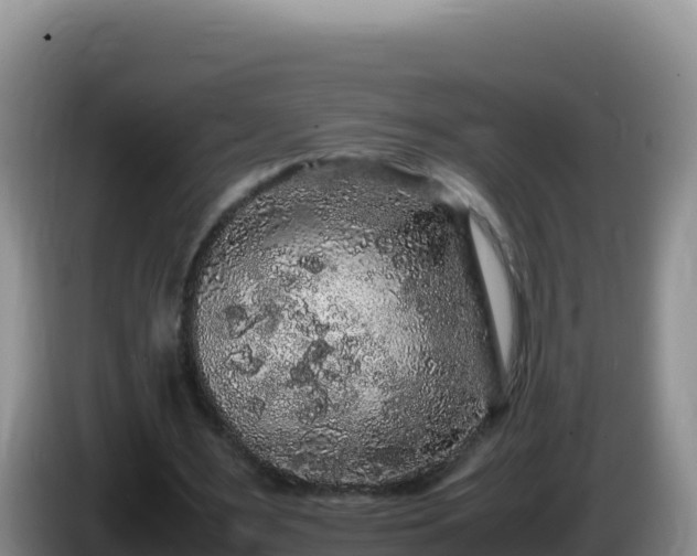 X0000086260483200704051306