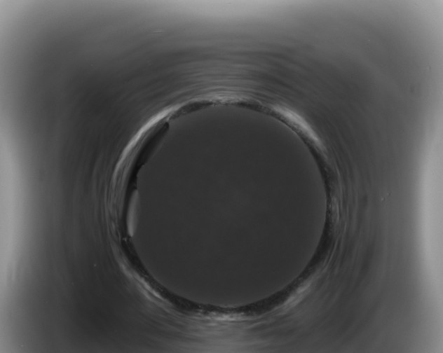 X0000086260484200704051306
