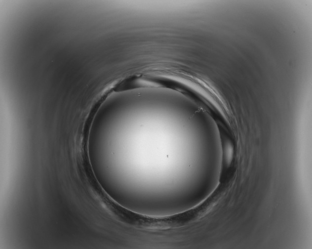 X0000086260485200704051306