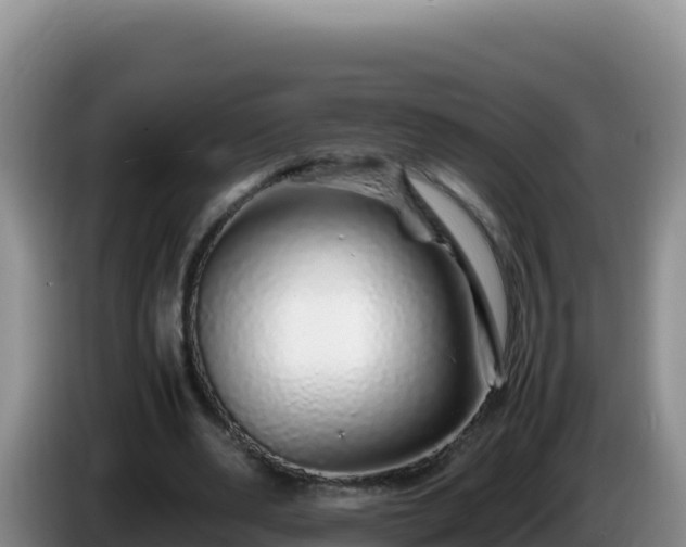 X0000086260486200704051306
