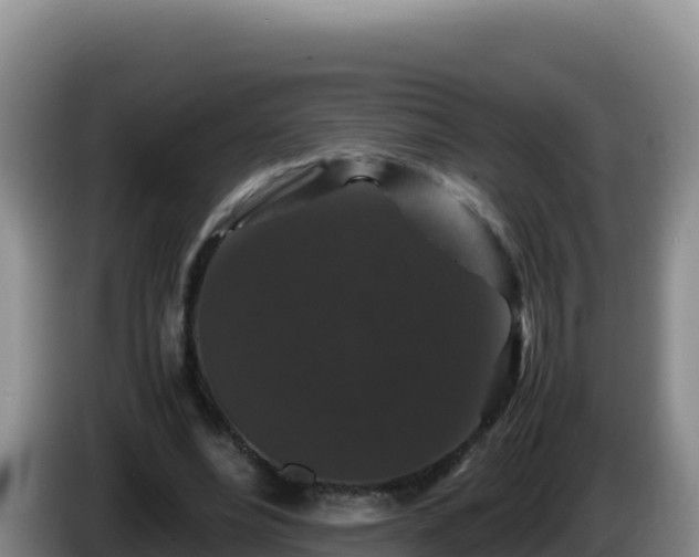 X0000086260488200704051306