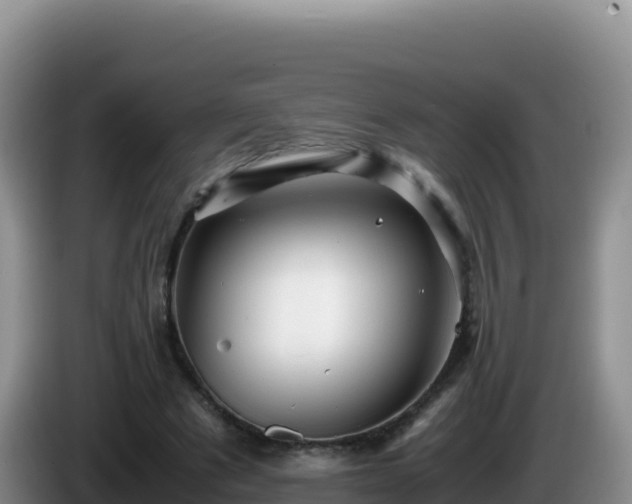 X0000086260489200704051306