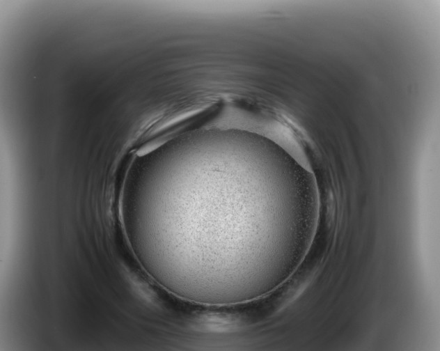 X0000086260490200704051305
