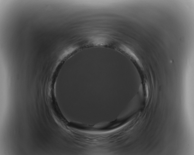 X0000086260492200704051305