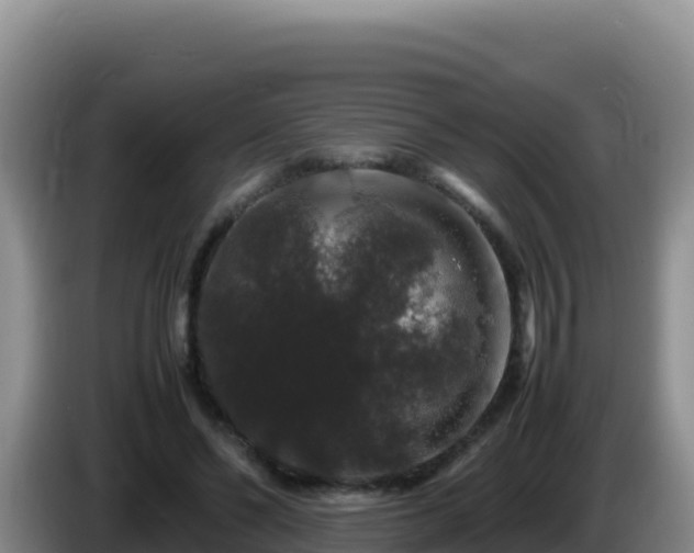 X0000086260494200704051305