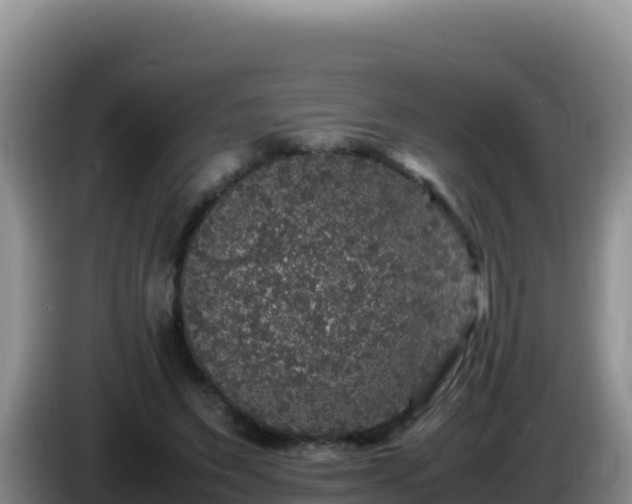 X0000086260495200704051305