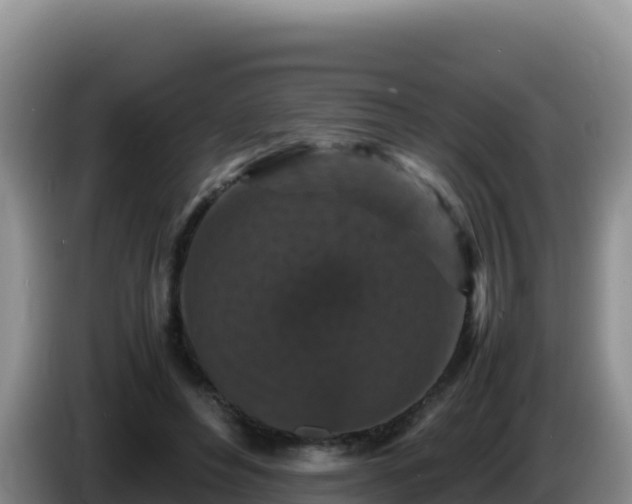 X0000086260496200704051305