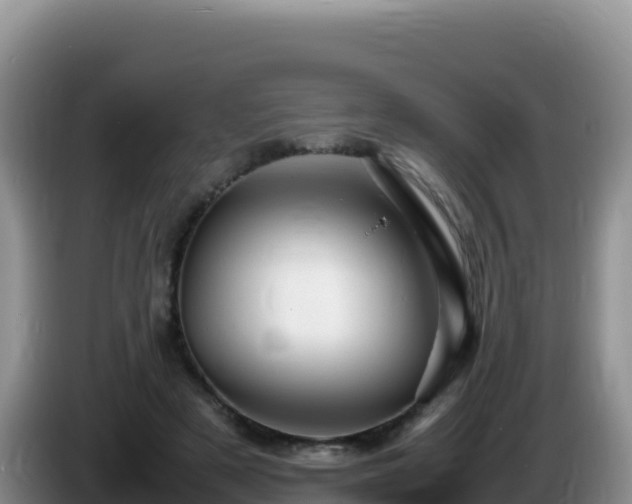 X0000086260497200704051305