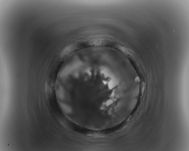 X0000086260503200704051305