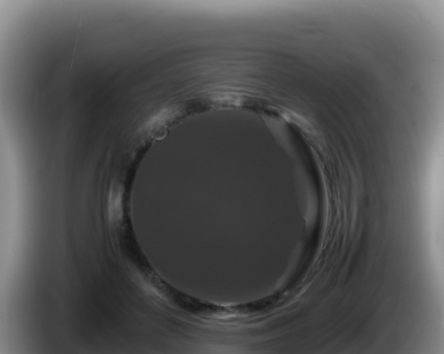 X0000086260504200704051305