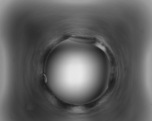 X0000086260505200704051305