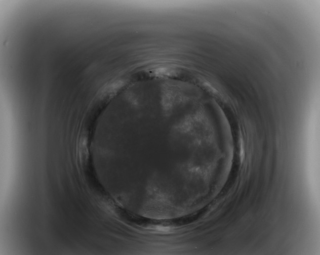 X0000086260506200704051305