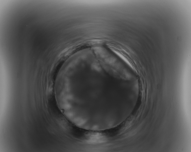 X0000086260507200704051305