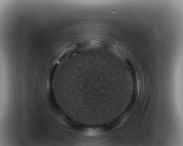 X0000086260508200704051305