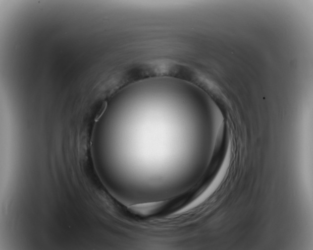 X0000086260509200704051305