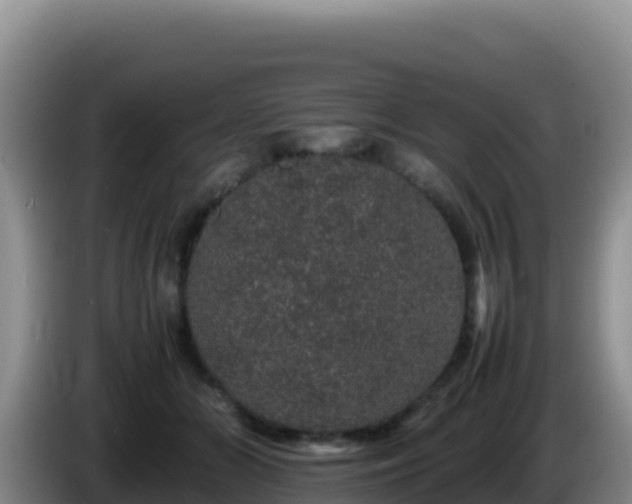 X0000086260510200704051305