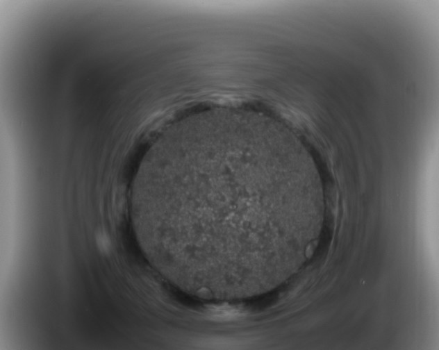 X0000086260511200704051305