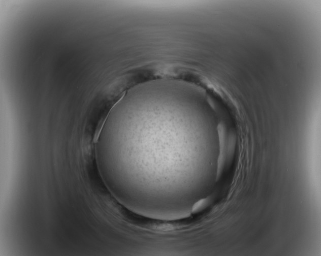 X0000086260513200704051305