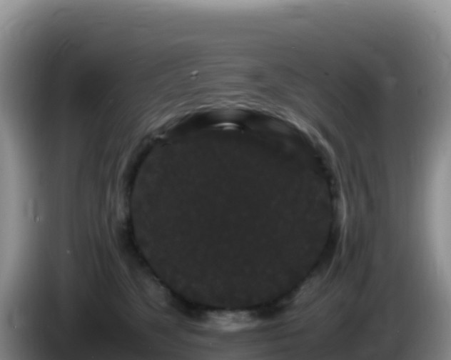 X0000086260517200704051305