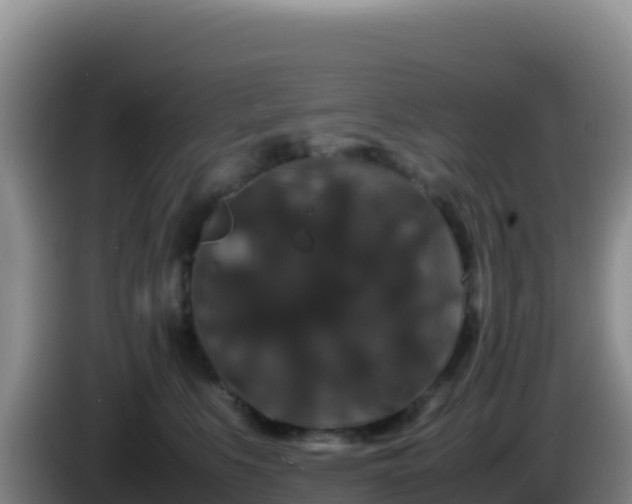 X0000086260519200704051305