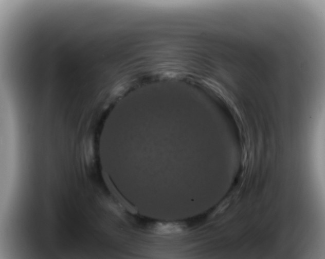 X0000086260520200704051305