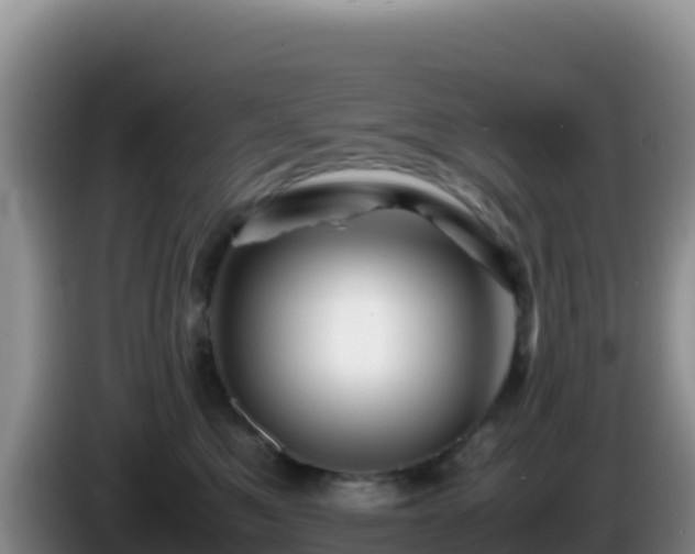 X0000086260521200704051305