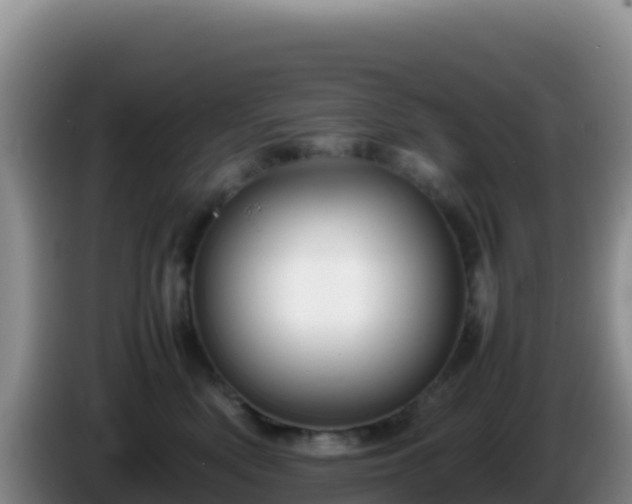 X0000086260522200704051305