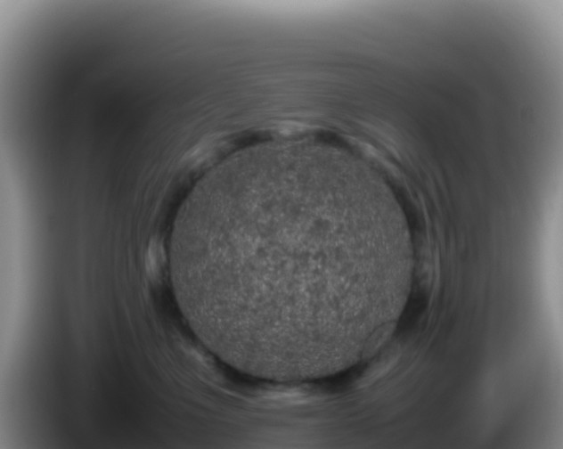X0000086260523200704051305