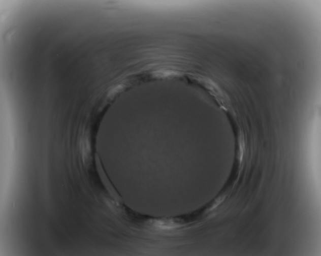 X0000086260524200704051305