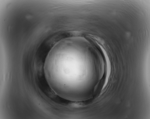 X0000086260525200704051305