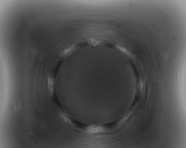 X0000086260526200704051305