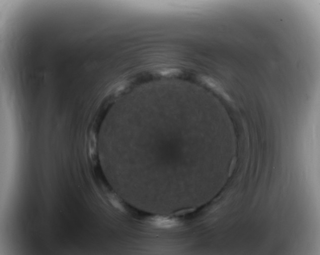 X0000086260528200704051305