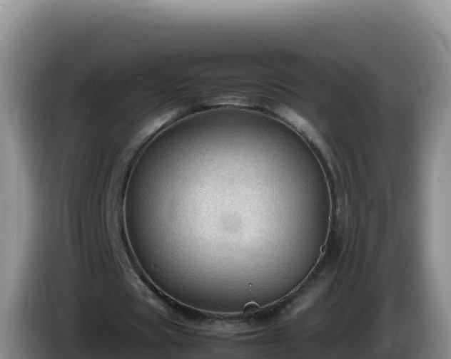 X0000086260529200704051304