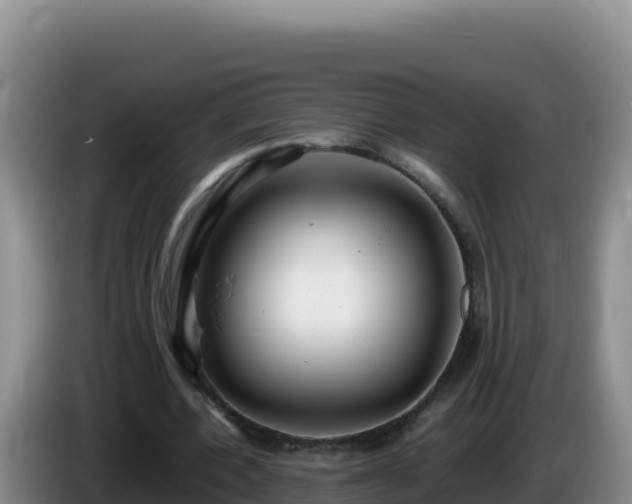 X0000086260532200704051304