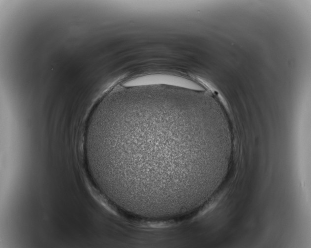 X0000086260533200704051304