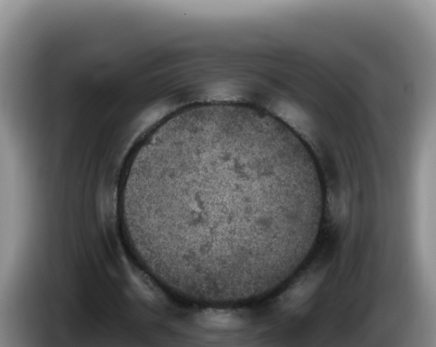 X0000086260534200704051304