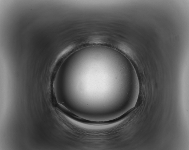 X0000086260535200704051304